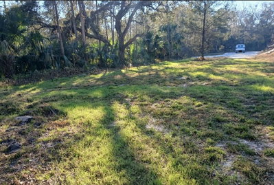 1013 CUPID Avenue, Christmas, FL, 32709 — photo 2