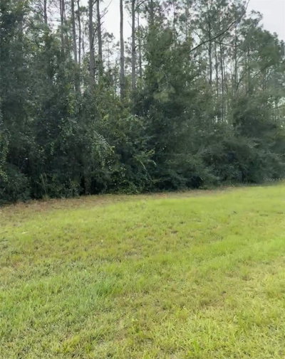 LAKE SMITH Road, Umatilla, FL, 32784 — photo 2