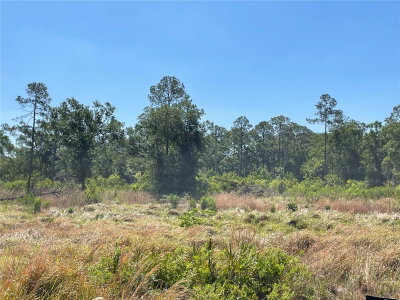 AVONWOOD, Tampa, FL, 33625 — photo 2