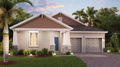 2519 PEACE OF MIND Avenue, Kissimmee, FL, 34744 — photo 2