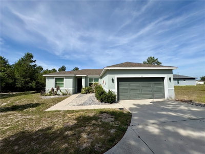 65 ZINNIA Lane, Kissimmee, FL, 34759 — photo 2