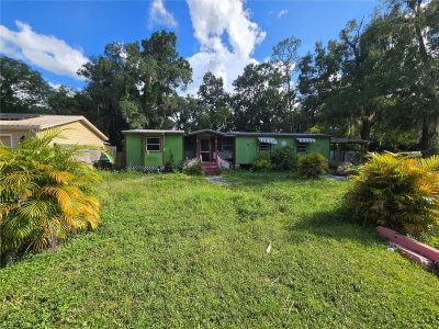 17208 MERCURY Road, Orlando, FL, 32833 — photo 2