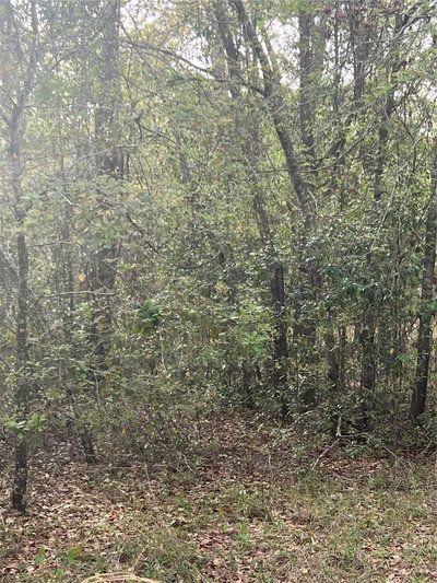 0000 125TH Street, Bronson, FL, 32621 — photo 2