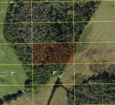 POLK CITY, Polk City, FL, 33868 — photo 2