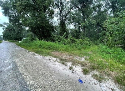UNDETERMINED, Summerfield, FL, 34491 — photo 2