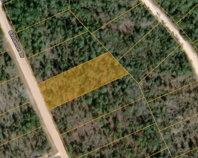 CINNAMON Drive, Marianna, FL, 32448 — photo 2