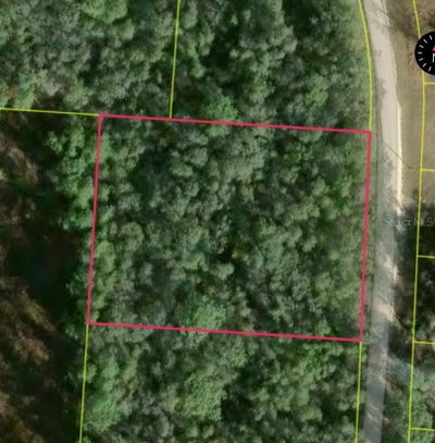 34253 BERRYHILL Drive, Webster, FL, 33597 — photo 2