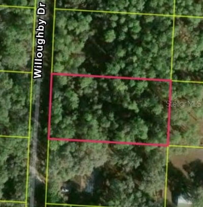 7352 WILLOUGHBY Drive, Webster, FL, 33597 — photo 2