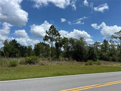3309 HAMPSHIRE Boulevard, Citrus Springs, FL, 34433 — photo 2