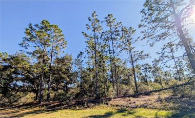 609 INDIAN LAKE Drive, Indian Lake Estates, FL, 33855 — photo 2