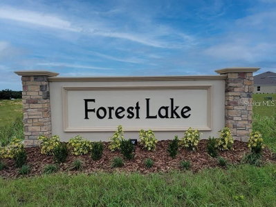 1847 BUCKEYE Road, Davenport, FL, 33837 — photo 2