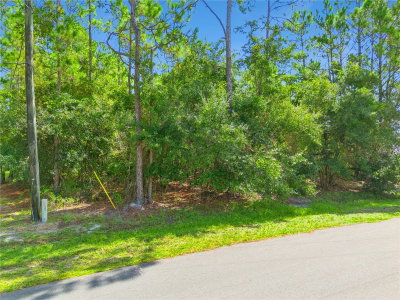 MUSTANG, St Cloud, FL, 34771 — photo 2
