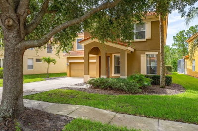 375 ORANGE COSMOS Boulevard, Davenport, FL, 33837 — photo 2