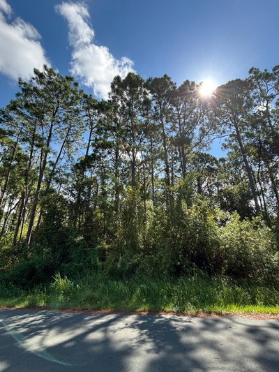 185 DEEYAN Avenue, Palm Bay, FL, 32907 — photo 2