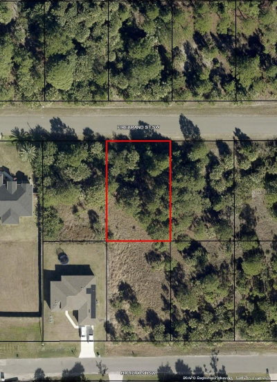 534 FIREBRAND Street, Palm Bay, FL, 32908 — photo 2