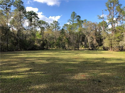 CRYSTAL SPRINGS Road, Crystal Springs, FL, 33524 — photo 2