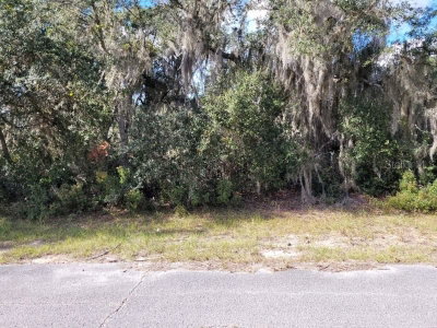 1244 CARIBBEAN Drive, Poinciana, FL, 34759 — photo 2