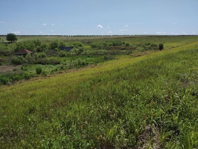 4000 G SMITH Road, Fort Meade, FL, 33841 — photo 2