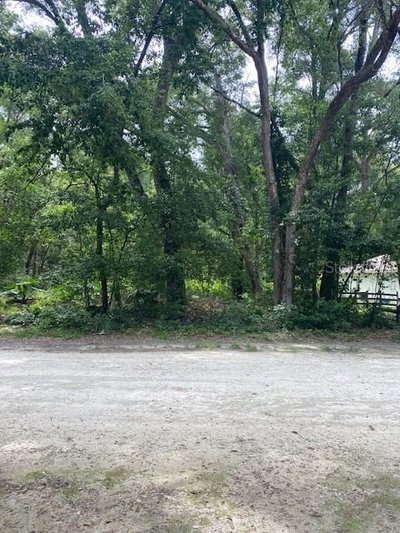 GARFIELD Avenue, Brooksville, FL, 34604 — photo 2