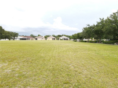 1035 NASHVILLE Drive, Wesley Chapel, FL, 33544 — photo 2