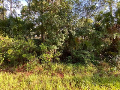 Lot 8 SULTAN Avenue, North Port, FL, 34286 — photo 2