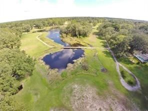 TREIMAN BLVD., Webster, FL, 33597 — photo 2