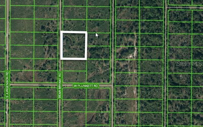 1859 BEAR BRYANT Road, Avon Park, FL, 33825 — photo 2