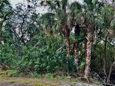S TARPON, Tampa, FL, 33616 — photo 2