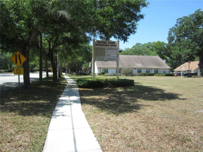 209 CRYSTAL GROVE Boulevard, Lutz, FL, 33548 — photo 2