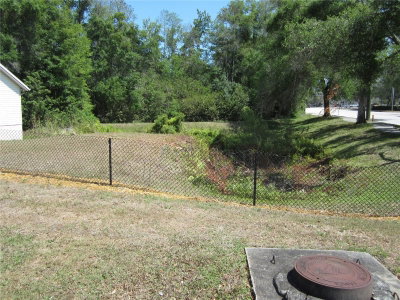 209 CRYSTAL GROVE Boulevard, Lutz, FL, 33548 — photo 2