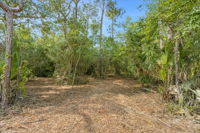 MAR LISA COVE Road, Lake Wales, FL, 33898 — photo 2