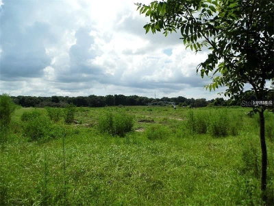 10201 TIMMONS Road, Thonotosassa, FL, 33592 — photo 2
