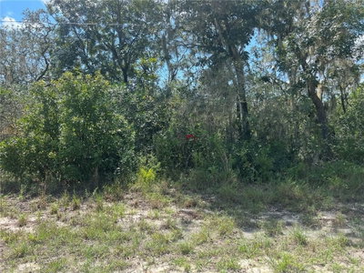 RIVERSTONE ST, Webster, FL, 33597 — photo 2