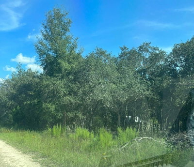 23-12-17 OAK RIDGE ESTATES BLK 8 LOT 27, Williston, FL, 32696 — photo 2