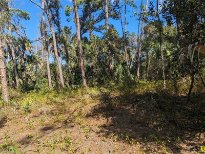 APRICOLA Road, North Port, FL, 34286 — photo 2