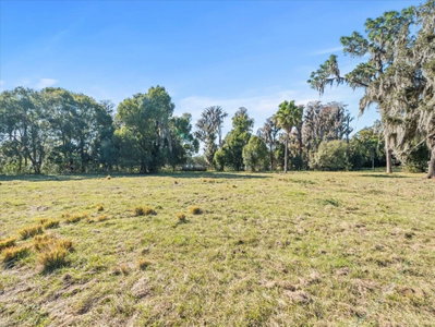 BOY SCOUT Road, Odessa, FL, 33556 — photo 2