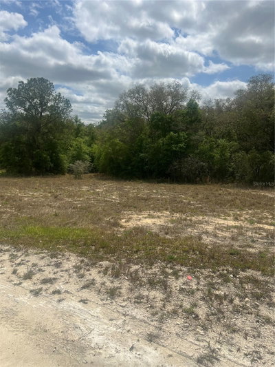 CLEFT ROCK Street, Webster, FL, 33597 — photo 2