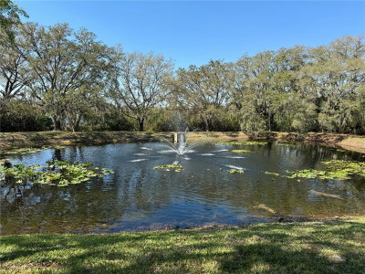 15434 FLORIDA Avenue, Tampa, FL, 33613 — photo 2