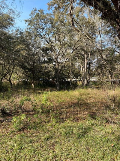 Bushnell, FL, 33513 — photo 2