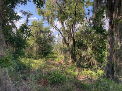 3RD Avenue, Babson Park, FL, 33827 — photo 2