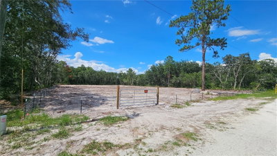35391 OVERCUP Drive, Webster, FL, 33597 — photo 2