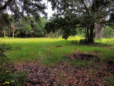 LIGHTFOOT Road, Wimauma, FL, 33598 — photo 2