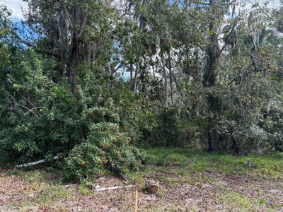 KOLB Place, Hudson, FL, 34667 — photo 2