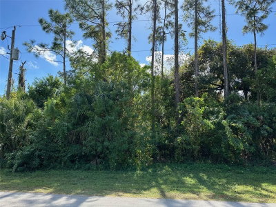 8042 WINDSWEPT Circle, Labelle, FL, 33935 — photo 2
