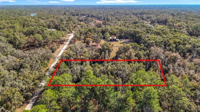 7241 SONIA Avenue, Webster, FL, 33597 — photo 2