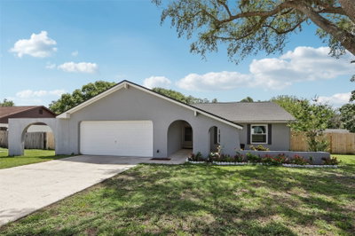 1009 BLACK KNIGHT Drive, Valrico, FL, 33594 — photo 2