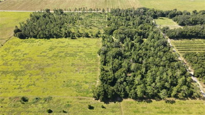 AMBERLEA Road, Dade City, FL, 33523 — photo 2