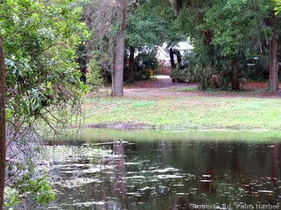 ROBERTS Road, Palm Harbor, FL, 34683 — photo 2