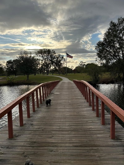 709 BELMONTE Drive, Indian Lake Estates, FL, 33855 — photo 2