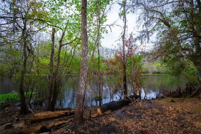 7822 CR 647, Bushnell, FL, 33513 — photo 2
